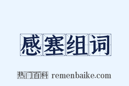 感塞组词是什么意思的图片